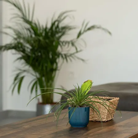Moderne Bei By Interhome Semesterbostad *